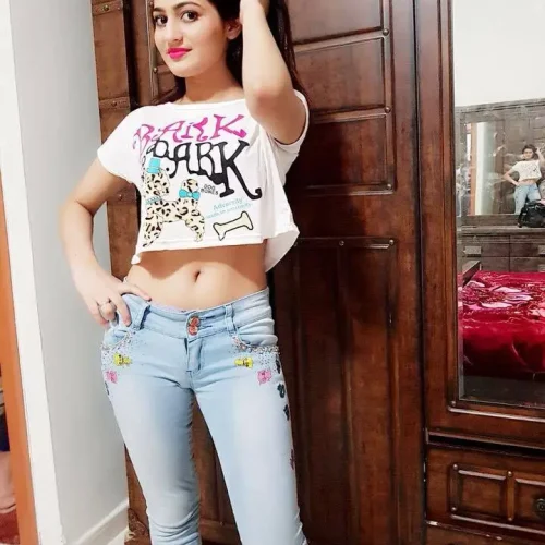 Ludhiana Call Girl service